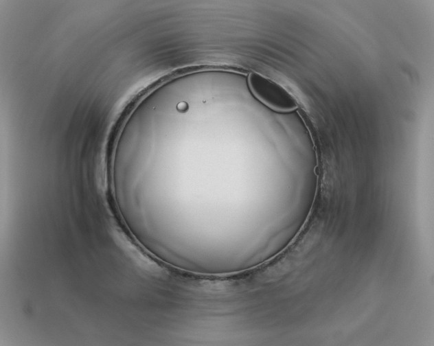 X0000114151080200910221542