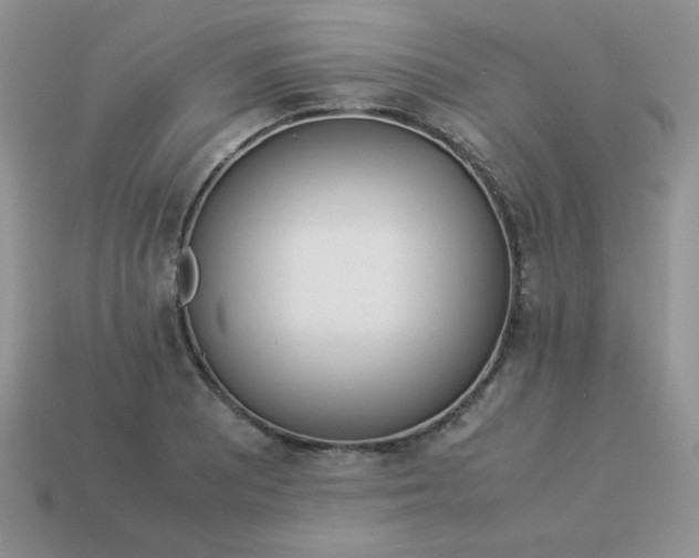 X0000114151081200910221542