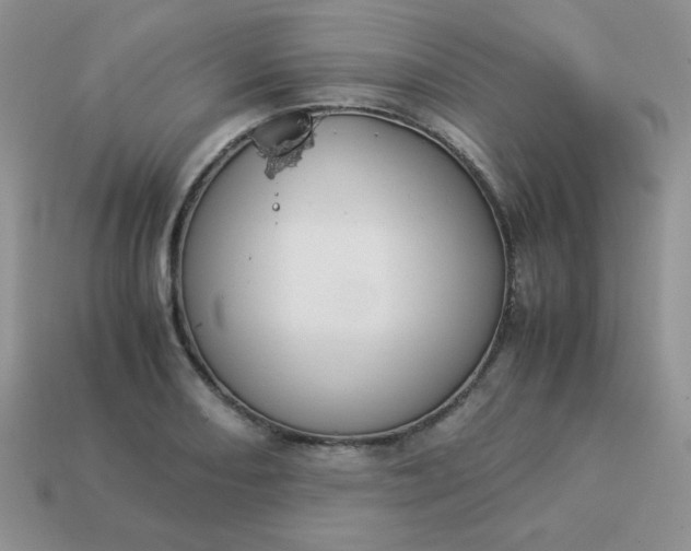 X0000114151082200910221542