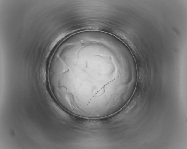 X0000114151083200910221542