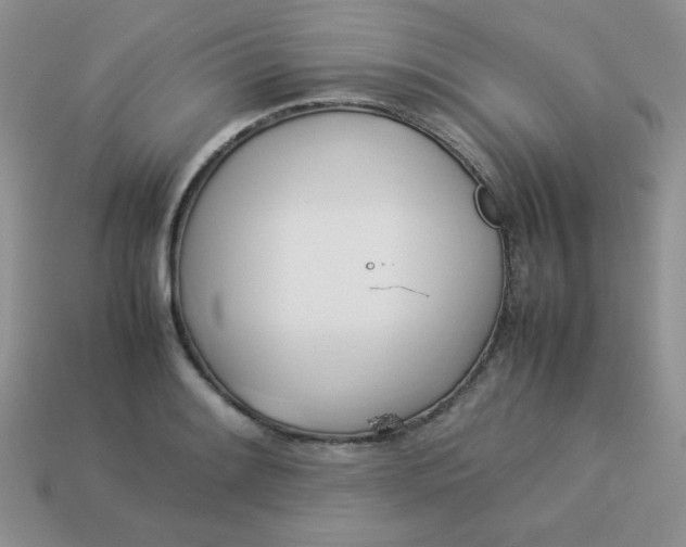 X0000114151084200910221542