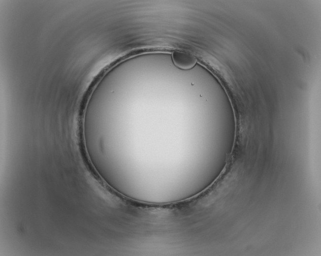 X0000114151085200910221542