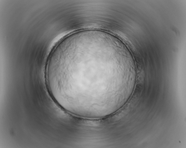 X0000114151086200910221542