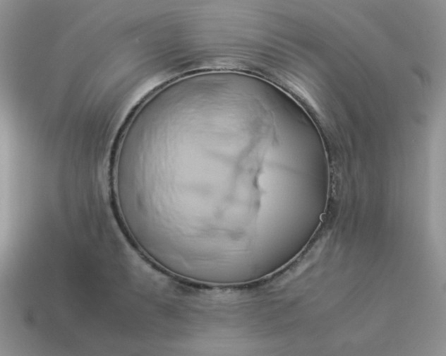 X0000114151087200910221542