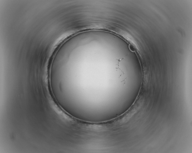 X0000114151088200910221542