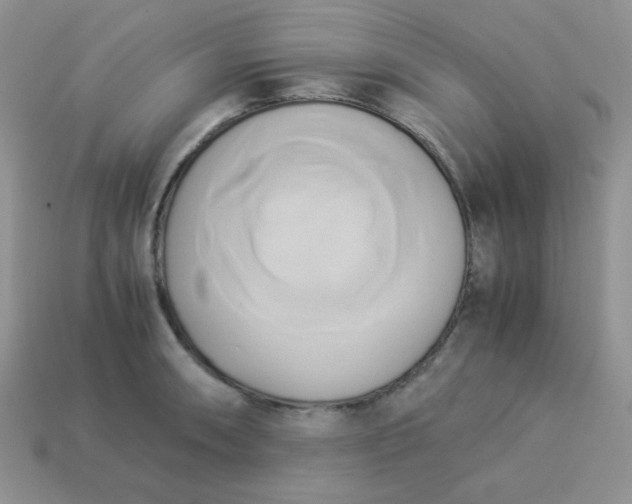 X0000114151090200910221542