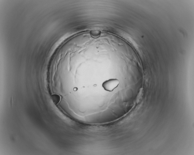 X0000114151091200910221542