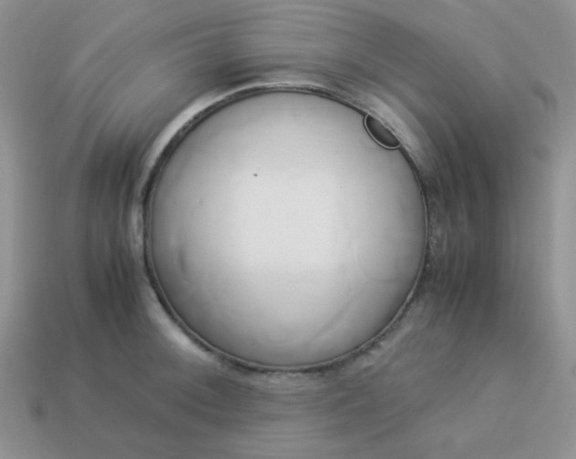 X0000114151092200910221542