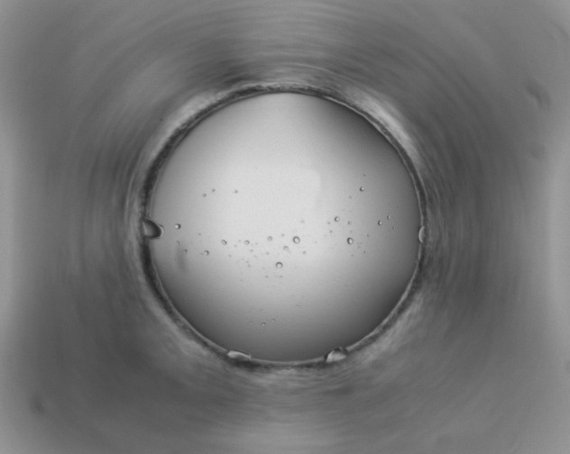 X0000114151093200910221541