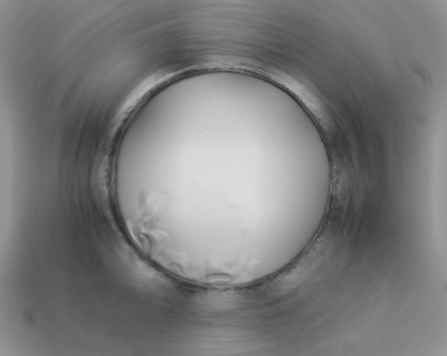 X0000114151094200910221541