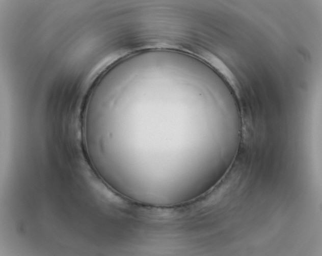 X0000114151096200910221541