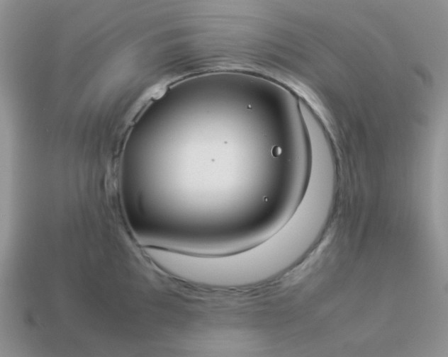 X0000114151097200910221541