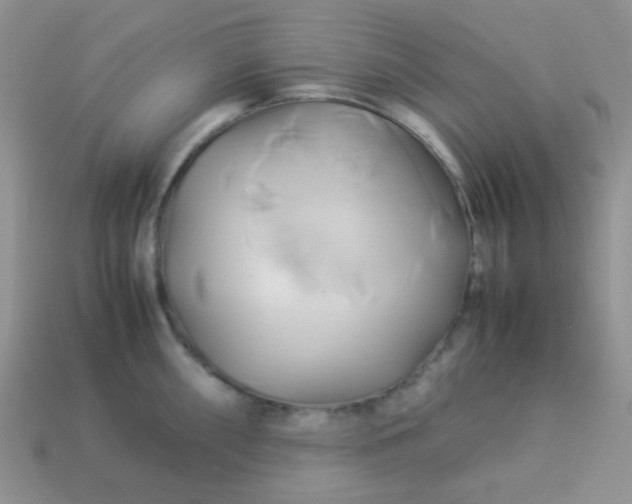 X0000114151098200910221541