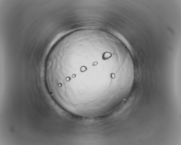 X0000114151099200910221541