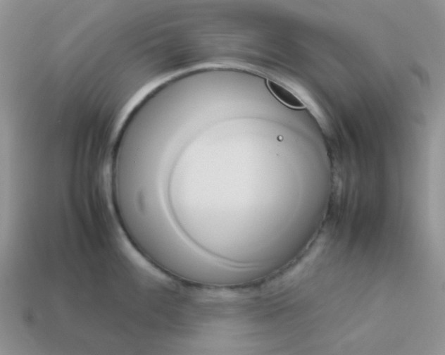 X0000114151100200910221541