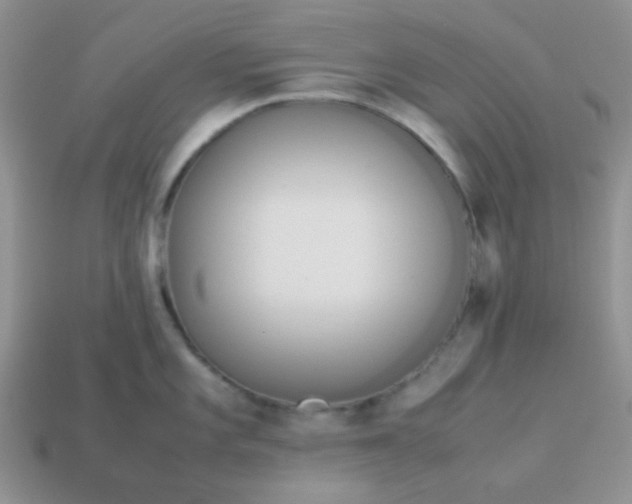 X0000114151101200910221541