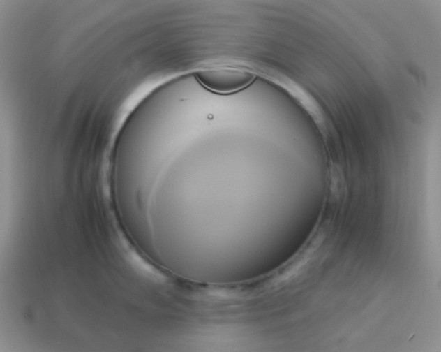 X0000114151102200910221541