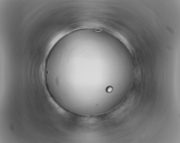 X0000114151103200910221541