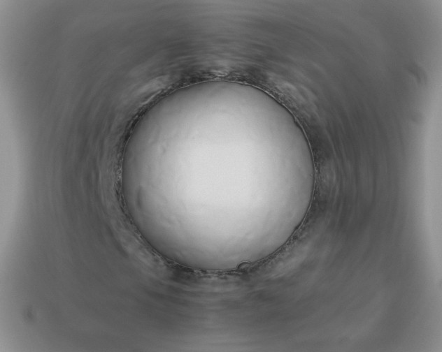 X0000114151105200910221541