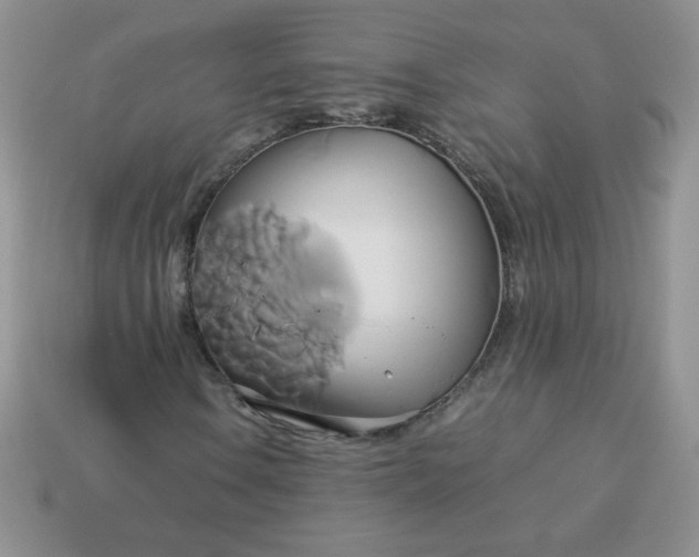 X0000114151106200910221541