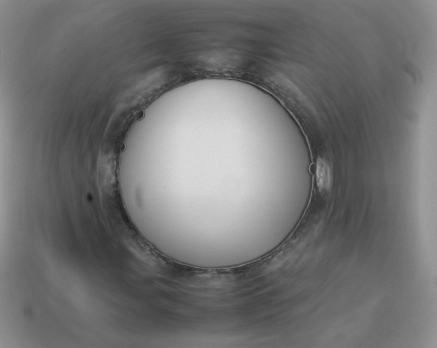 X0000114151107200910221541