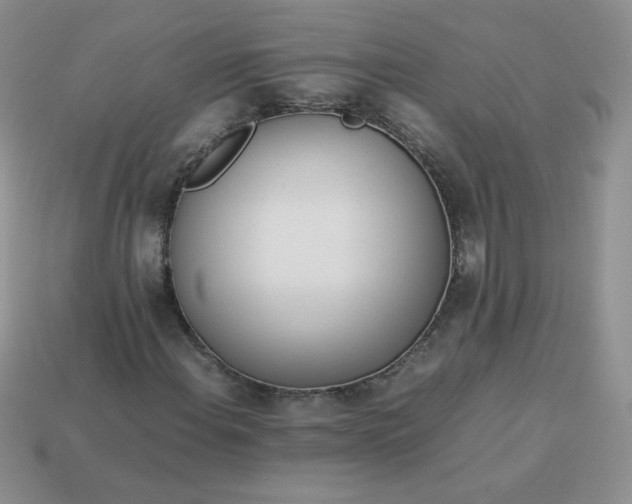 X0000114151108200910221541