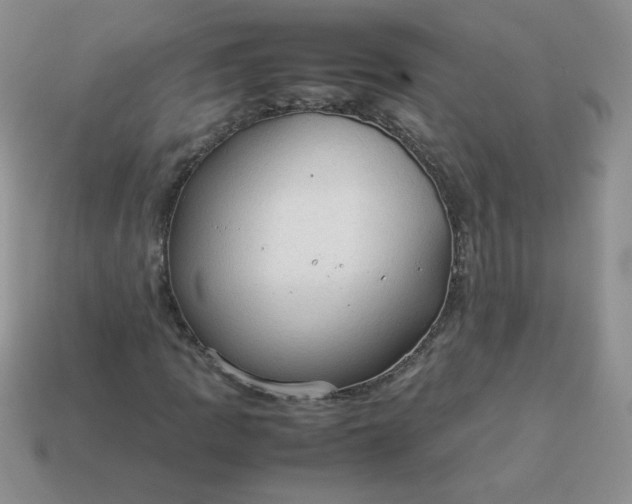 X0000114151109200910221541