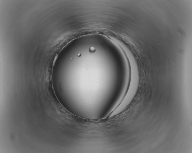 X0000114151110200910221541