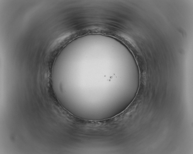 X0000114151111200910221541