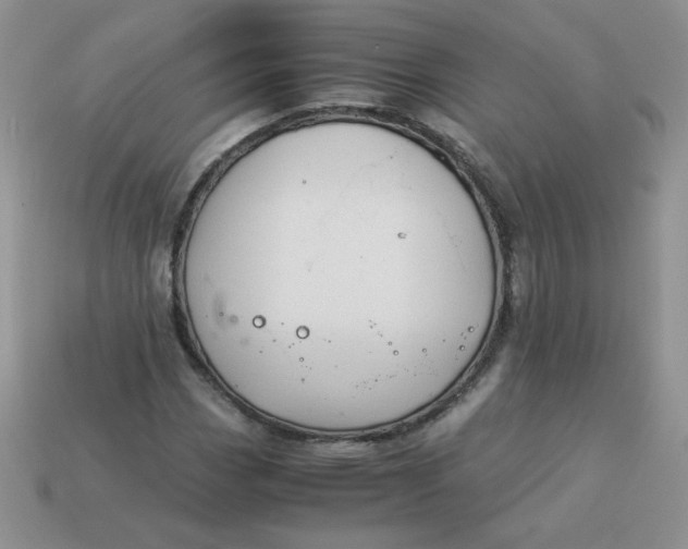 X0000114151113200910221541