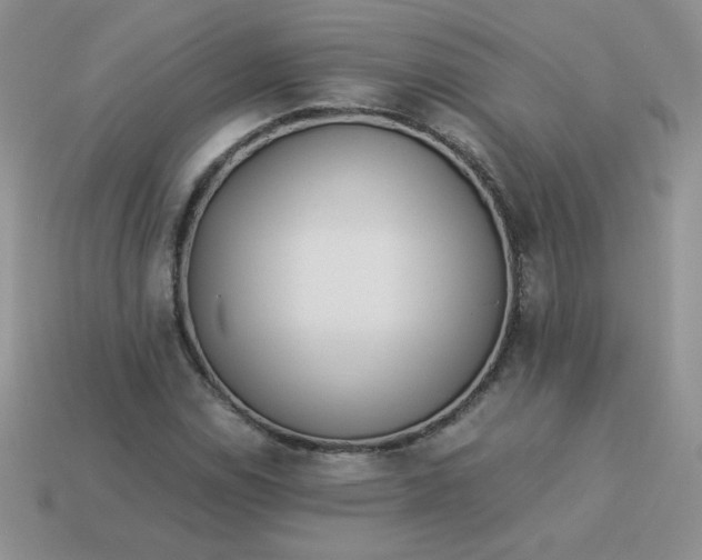 X0000114151114200910221541