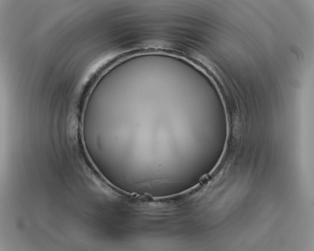 X0000114151115200910221541