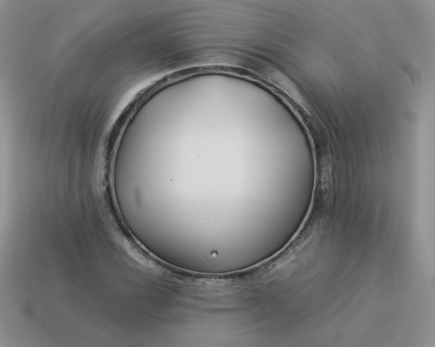 X0000114151116200910221541