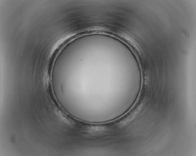 X0000114151117200910221541