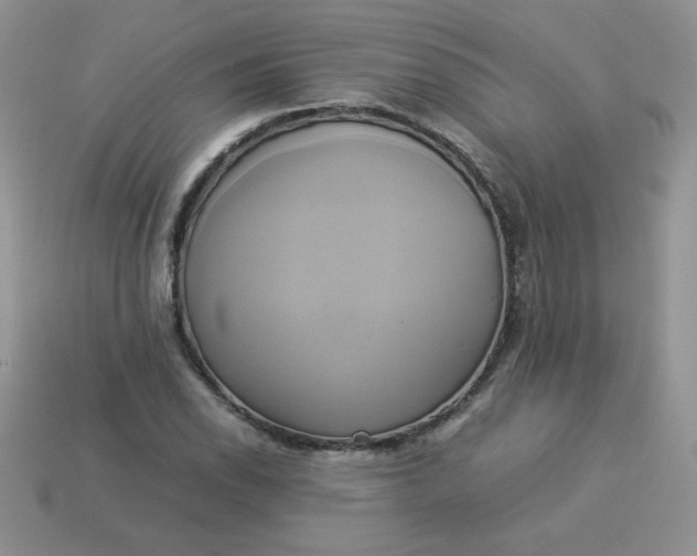 X0000114151118200910221541