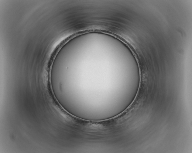 X0000114151119200910221541