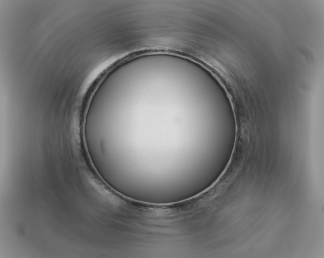 X0000114151120200910221541