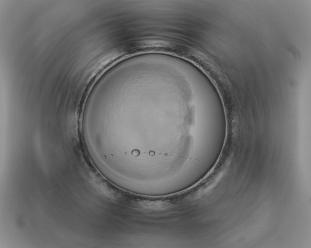 X0000114151121200910221541