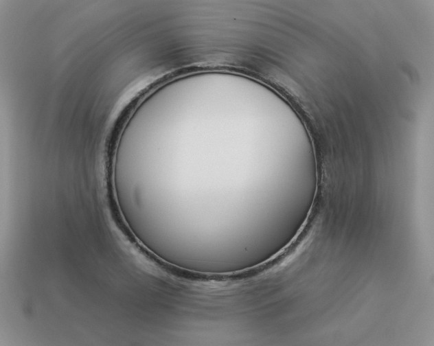 X0000114151122200910221541