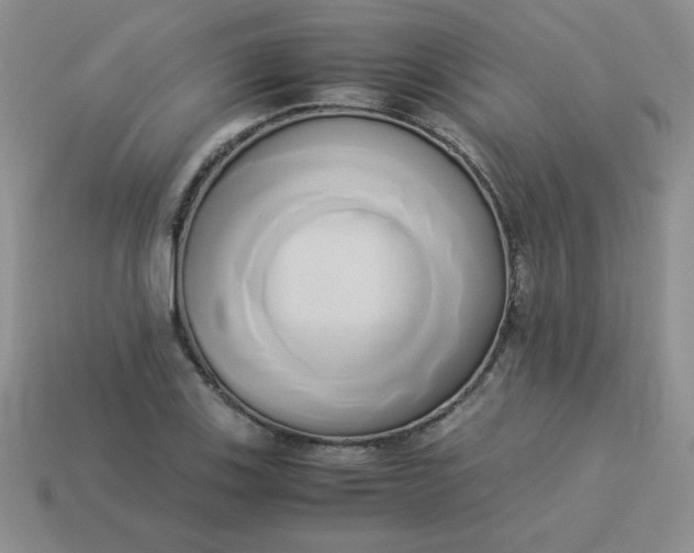 X0000114151123200910221541