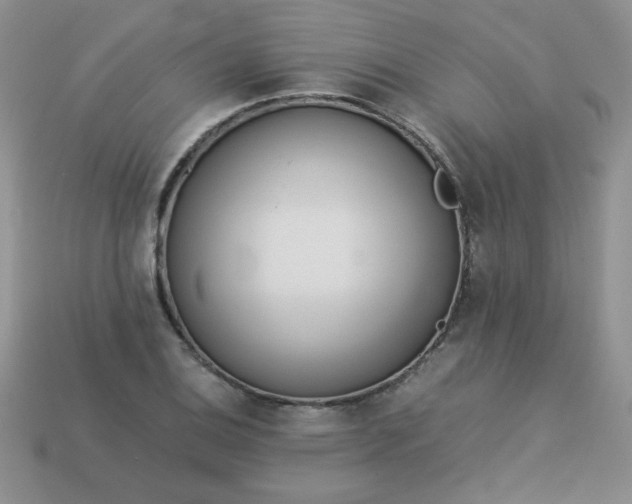 X0000114151124200910221541