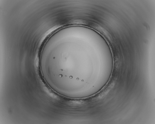 X0000114151125200910221541