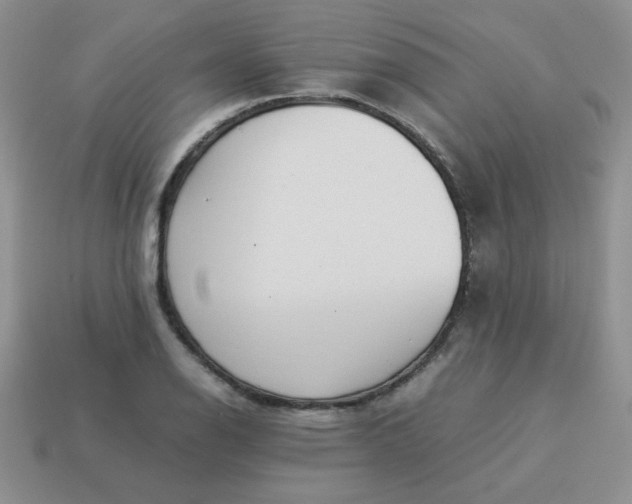 X0000114151126200910221541