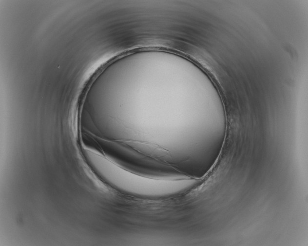 X0000114151127200910221541