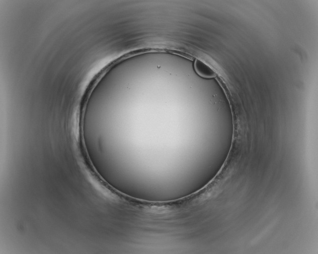 X0000114151128200910221541