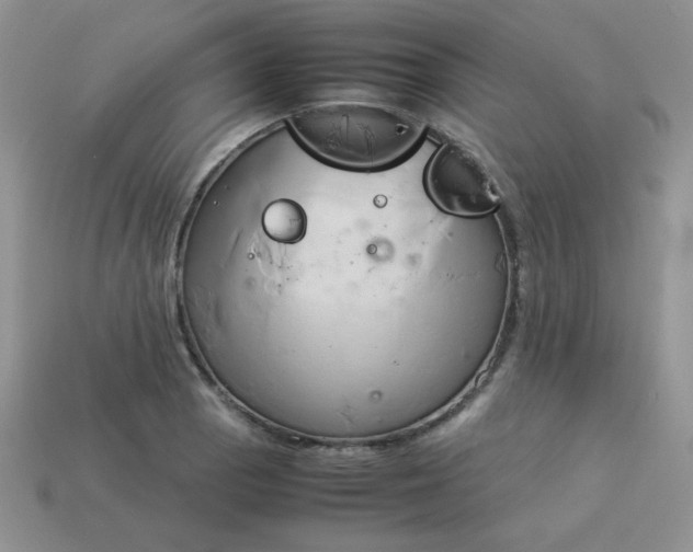 X0000114151129200910221541