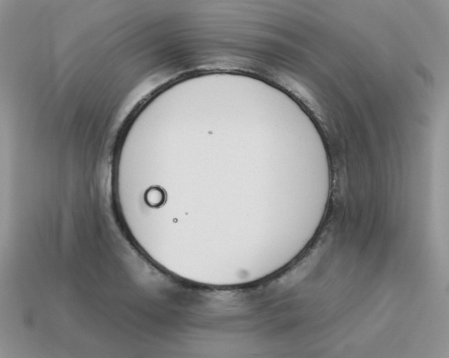 X0000114151130200910221541