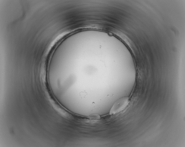 X0000114151131200910221541