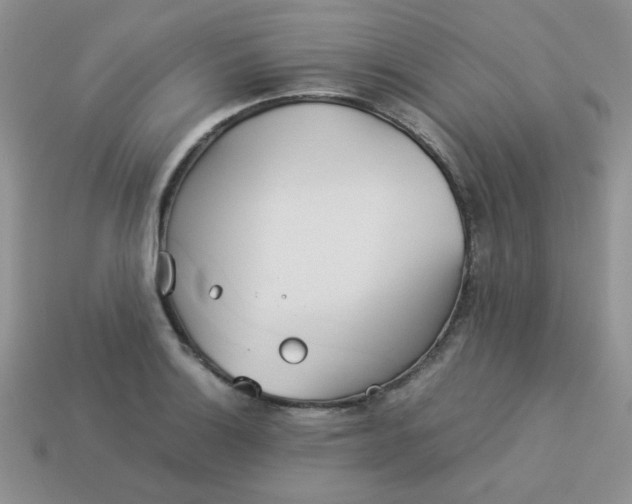 X0000114151132200910221541