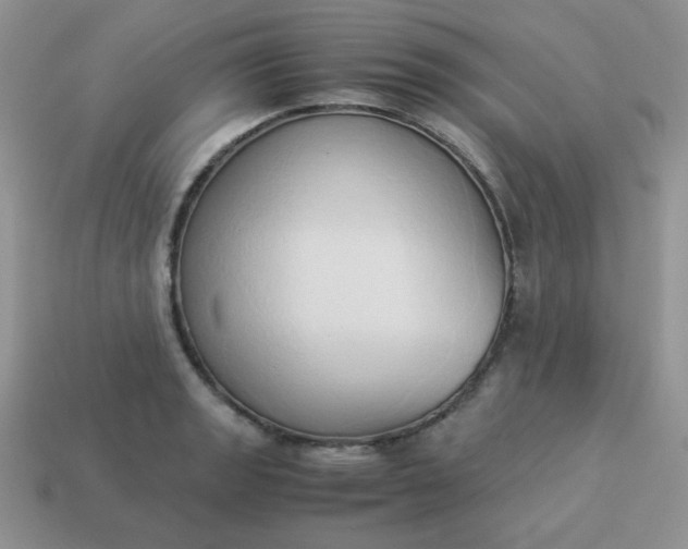 X0000114151133200910221541